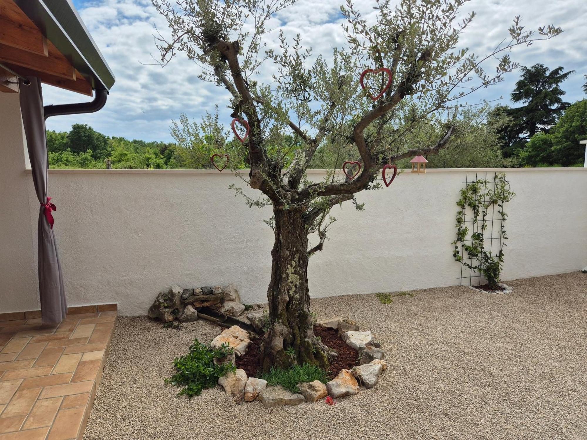 Apartment Vinja Porec - Privat Garden - Whirlpool Exterior photo