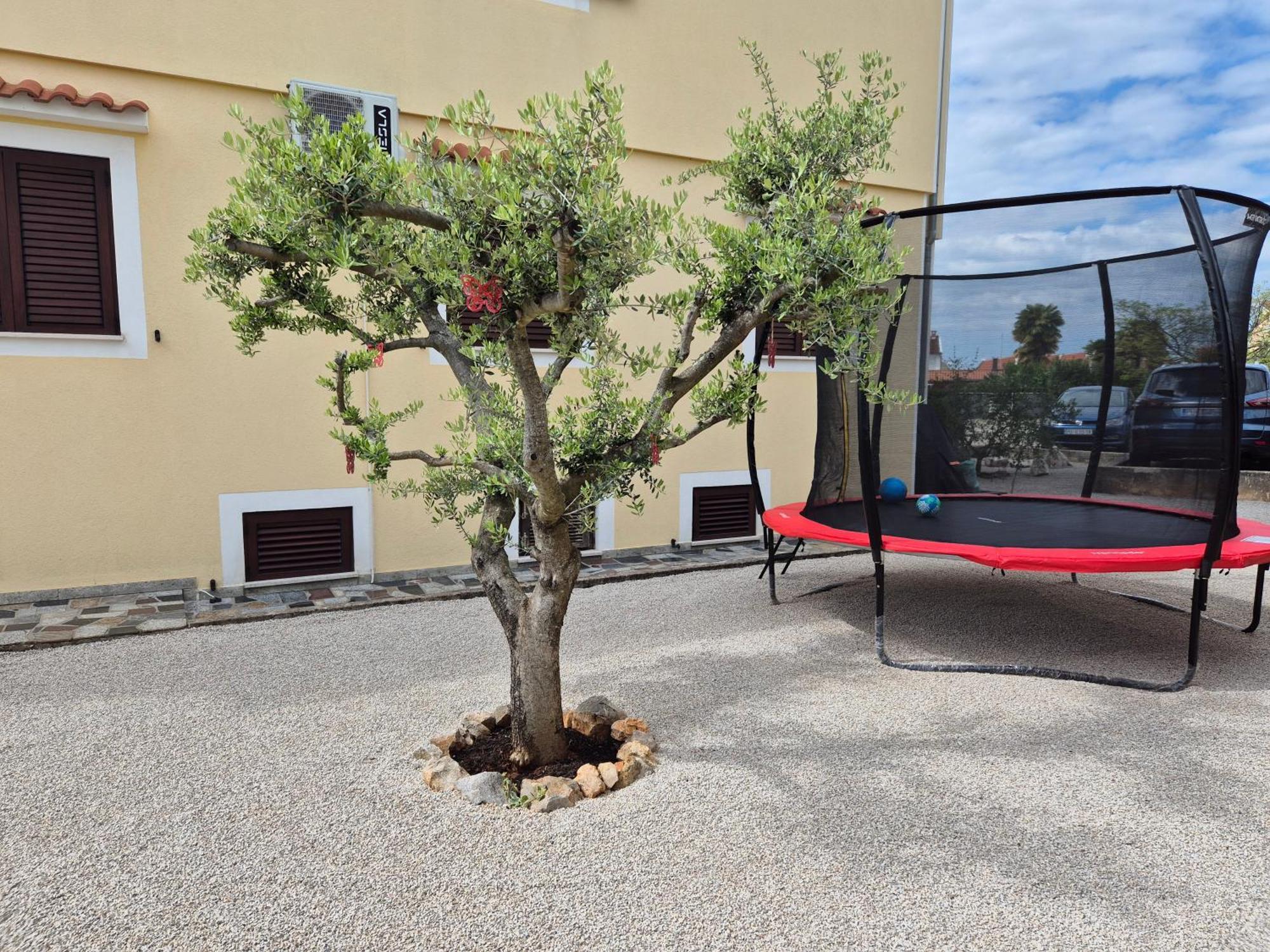 Apartment Vinja Porec - Privat Garden - Whirlpool Exterior photo